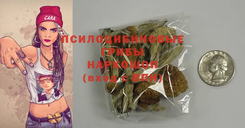 Псилоцибиновые грибы MAGIC MUSHROOMS  магазин продажи наркотиков  Солигалич 